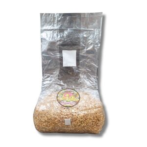 Sterilized rye grain spawn with injection port - Planet Spores