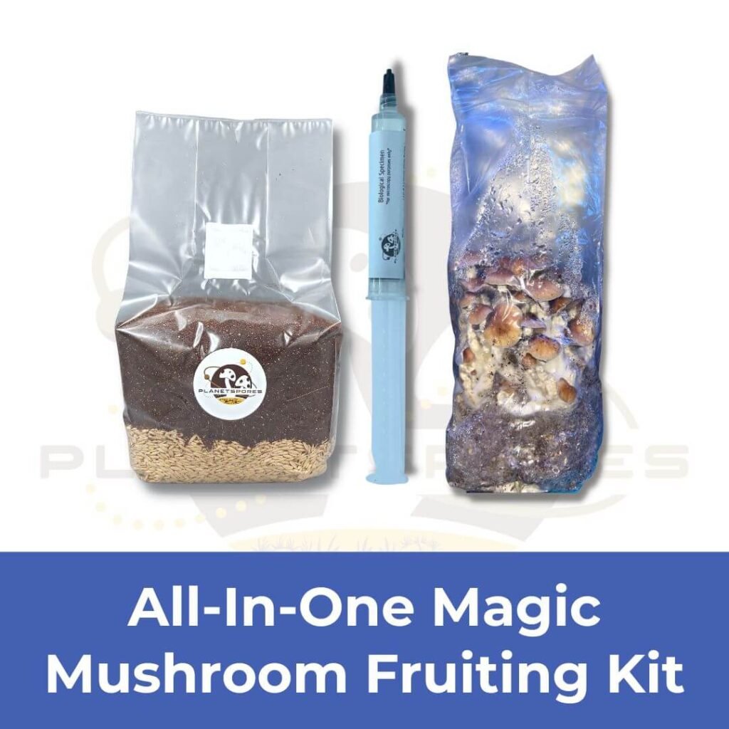Grow Kit Funnel - All-In-One Mushroom Fruiting Bag