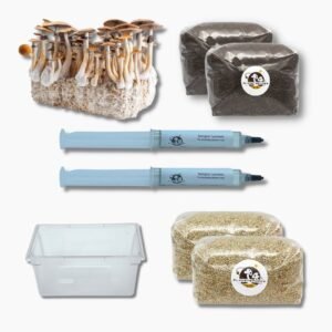 Spore grow kit (L) (grey)