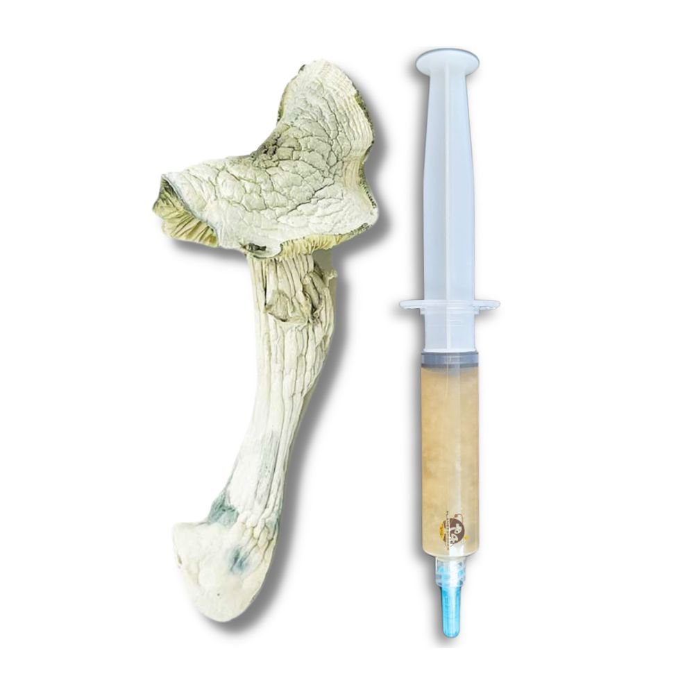 Avery Albino magic mushroom liquid culture syringe