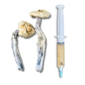 leucistic golden teacher magic mushroom liquid culture syringe