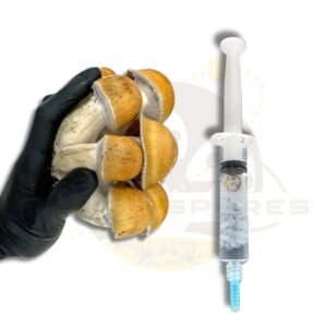 Penis Envy 6 magic mushroom liquid culture syringe