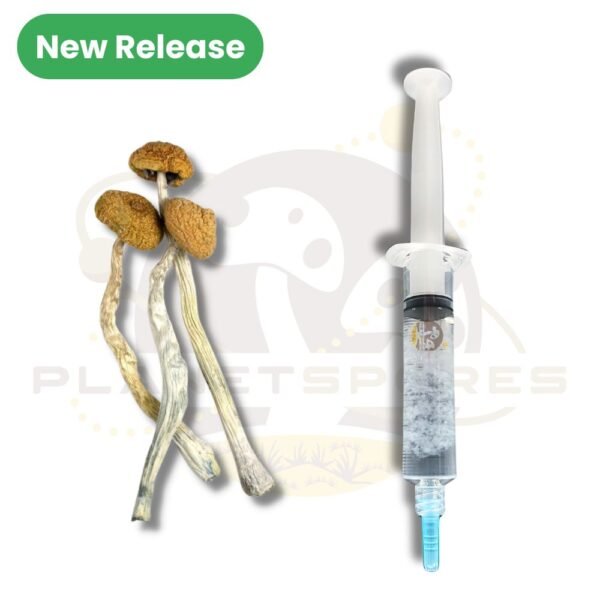 B Plus magic mushroom liquid culture syringe (new release)