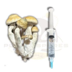 Albino Penis Envy Revert magic mushroom liquid culture syringe