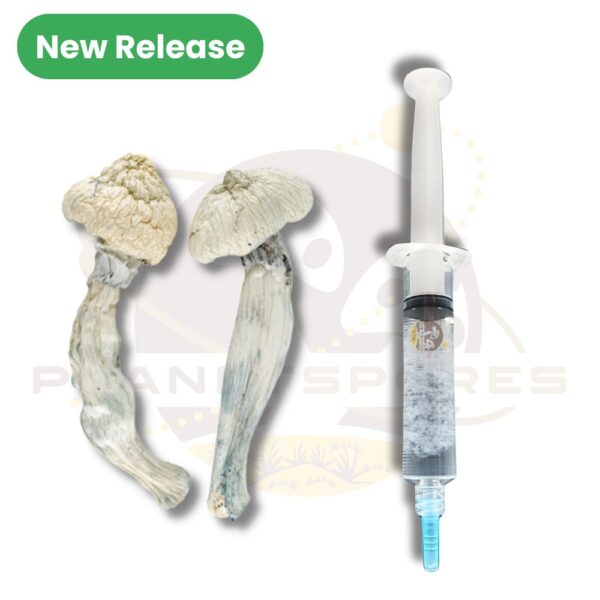 Albino Penis Envy magic mushroom liquid culture syringe - new release