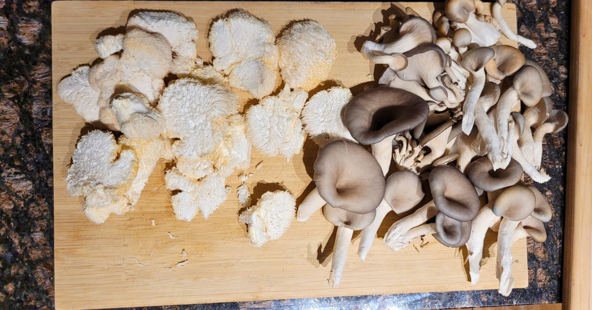 The Benefits of Mushroom Cultivation for Seniors