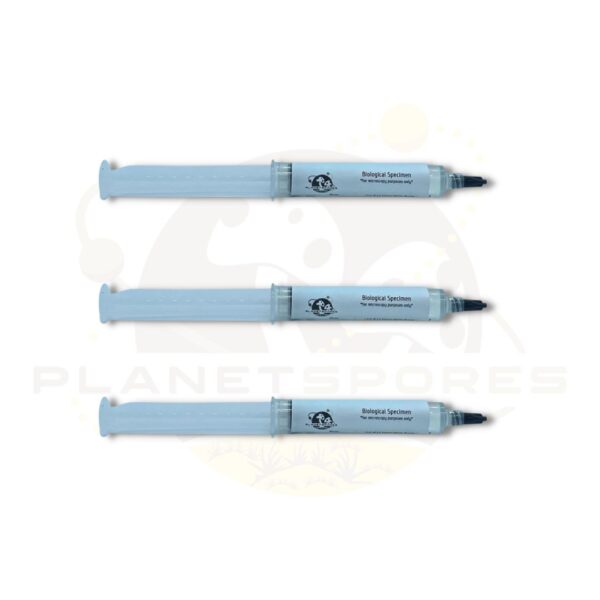 Magic mushroom spore and liquid culture syringe 3 pack