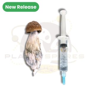 Goldmember magic mushroom liquid culture syringe - new release Planet Spores