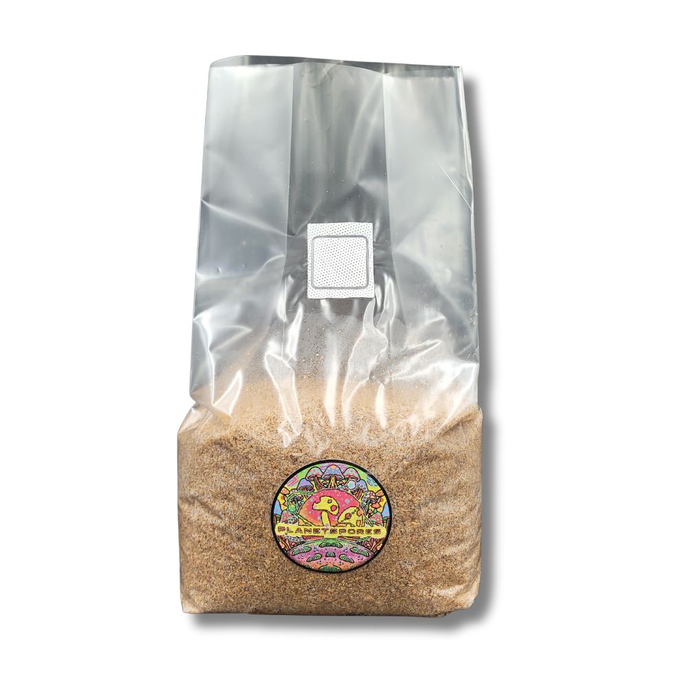 Supplemented Hardwood-Based Sterile Mushroom Substrate (standing)