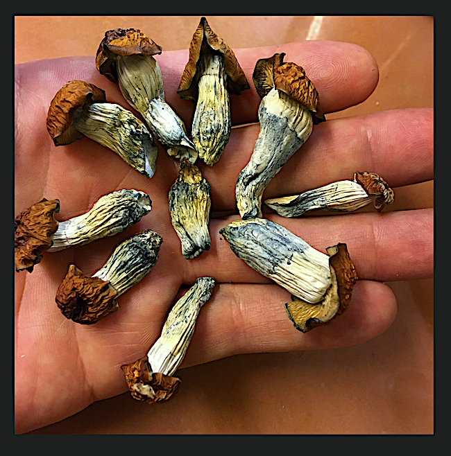 Image #1 from DEAN R.