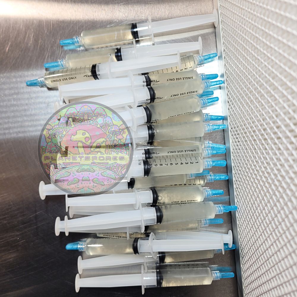 Planet Spores bulk mushroom liquid culture creation