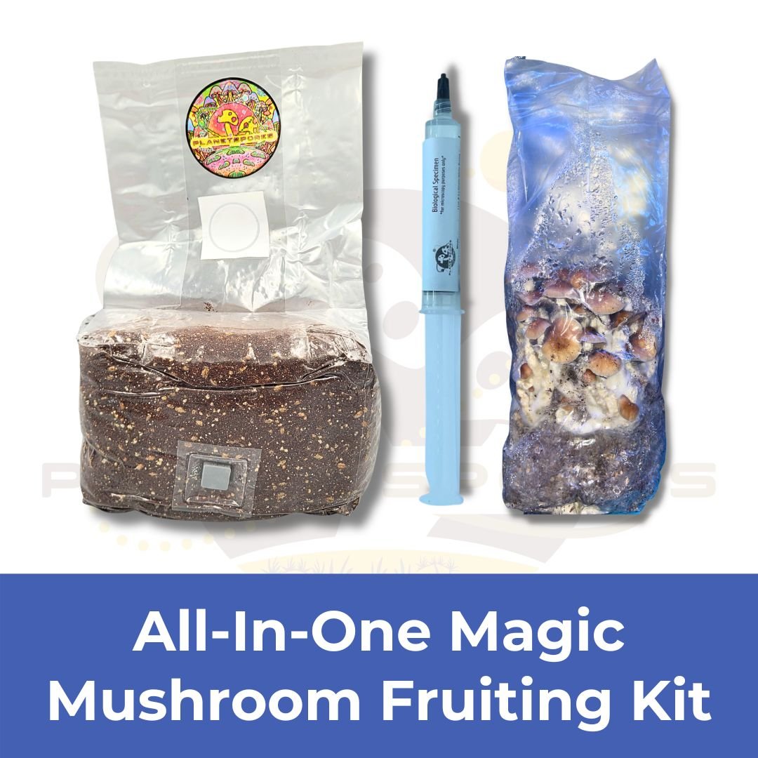Grow Kit Funnel - All-In-One mushroom grow kit - Planet Spores