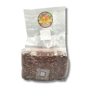 Shroom pro all in one mushroom grow bag - planet spores - full bag shot