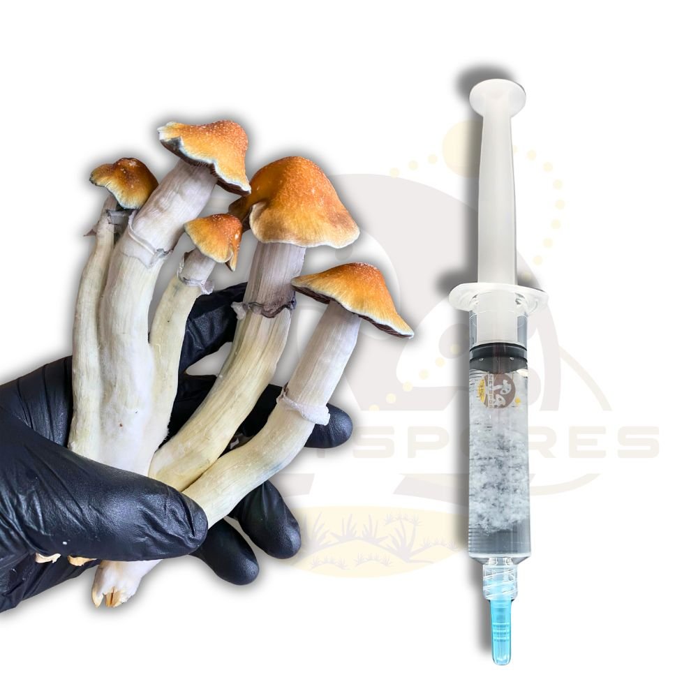 Tidal Wave mushroom liquid culture syringe - Planet Spores