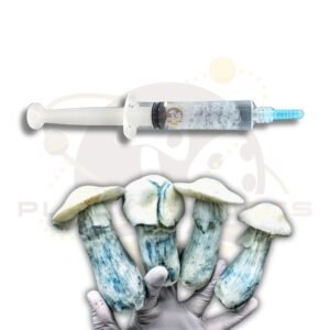 Albino Penis Envy Mushroom liquid culture - planet spores