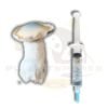 Albino Bluey Vuitton mushroom liquid culture by Planet Spores