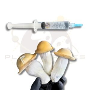 Penis Envy Mushroom Liquid Culture